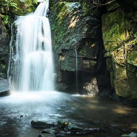 Harewood Cottage Peak District Лийк Екстериор снимка